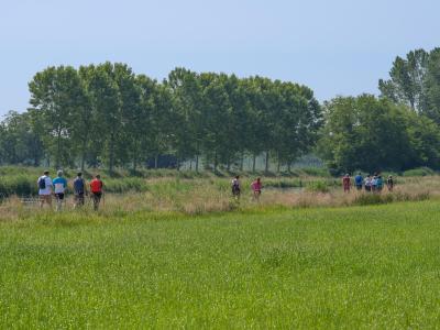 Group of people walking in a green field with trees.