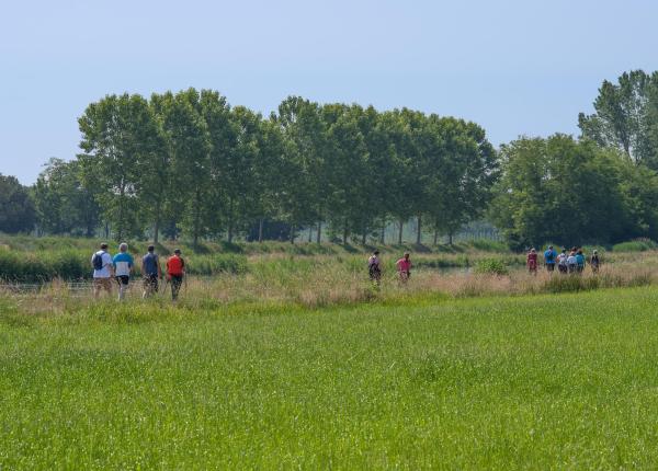 Group of people walking in a green field with trees.