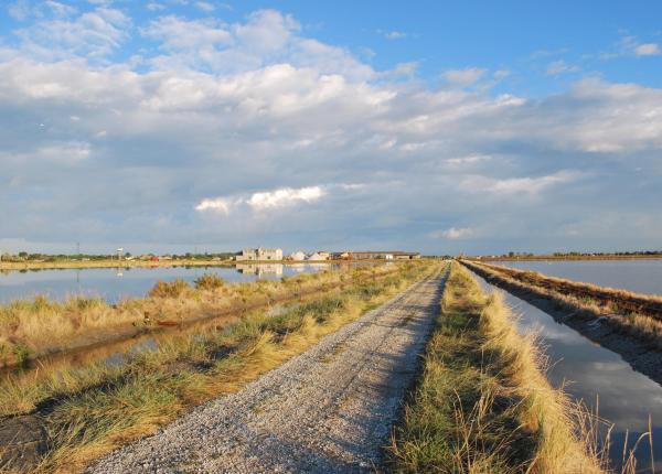 Route de terre entre les lacs salés sous un ciel nuageux.